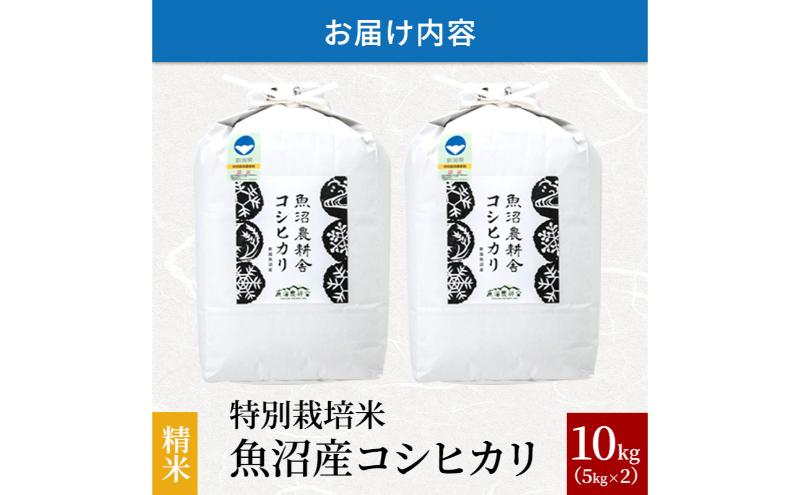 【令和6年産　新米先行受付】[令和6年産]米農家自慢の特別栽培米魚沼産コシヒカリ(精米)10kg 白米 お米 こめ コメ 魚沼産コシヒカリ こしひかり 魚沼