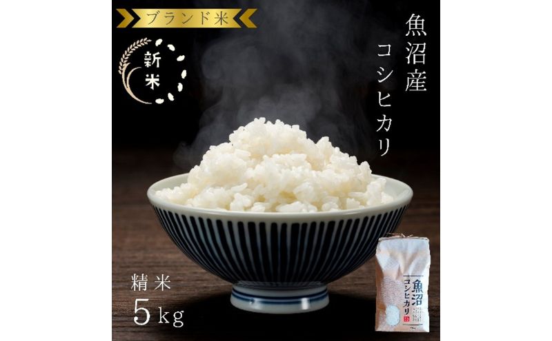 【令和6年産】ブランド米 魚沼産コシヒカリ 精米 5kg 米 コメ こめ お米 おこめ 白米 こしひかり 新潟県産 人気 お取り寄せ