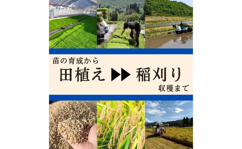 【令和6年産】ブランド米 魚沼産コシヒカリ 精米 5kg 米 コメ こめ お米 おこめ 白米 こしひかり 新潟県産 人気 お取り寄せ