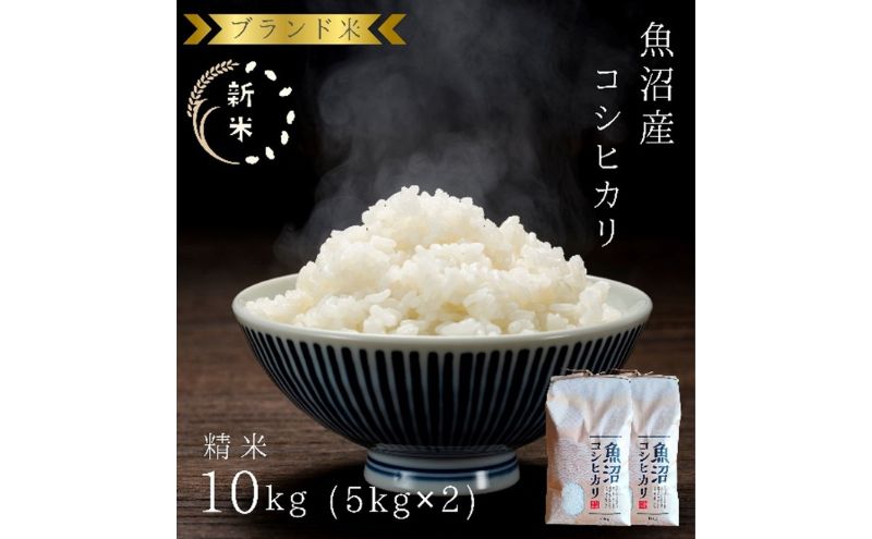 【令和6年産】ブランド米 魚沼産コシヒカリ 精米 10kg（5kg×2袋） 米 コメ こめ お米 おこめ 白米 こしひかり 新潟県産 人気 お取り寄せ