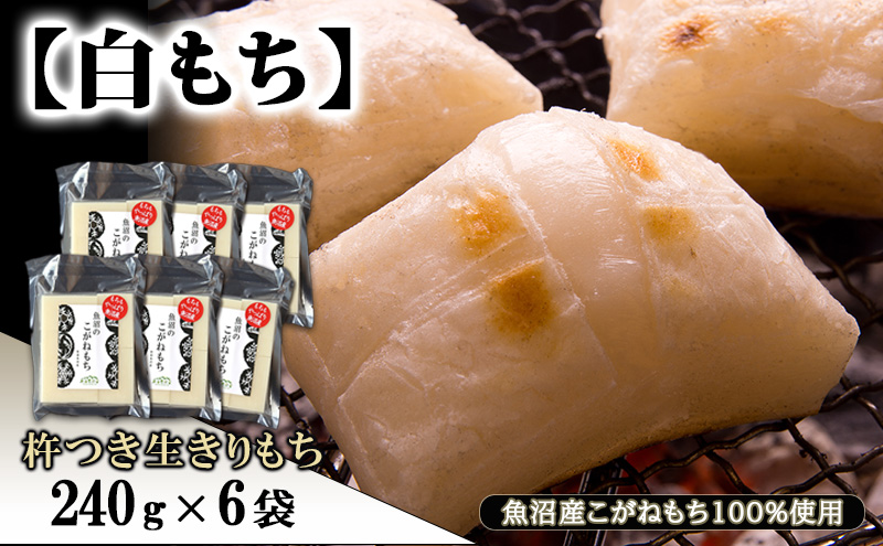 【白もち】魚沼産こがねもち100%使用 杵つき生きりもち 240g×6袋 餅 おもち 新潟県 魚沼市 魚沼