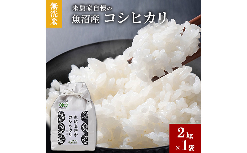 【令和7年産】無洗米 米農家自慢の 魚沼産 コシヒカリ2kg×１袋 米 お米 こめ こしひかり 白米 無洗 新潟県 魚沼市 魚沼