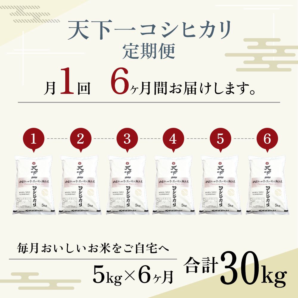 定期便 魚沼産 天下一コシヒカリ 5kg 全 6回 （ 米 コシヒカリ こしひかり 定期 お米 こめ コメ おこめ 白米 魚沼 新潟 魚沼産コシヒカリ 魚沼産こしひかり お楽しみ ） 新潟県 