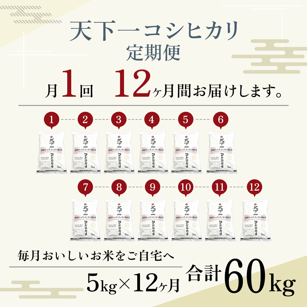 定期便 魚沼産 天下一コシヒカリ 5kg 全12回 ( 米 お米 こめ コメ おこめ 白米 こしひかり 12か月 60kg お楽しみ ) 新潟県 