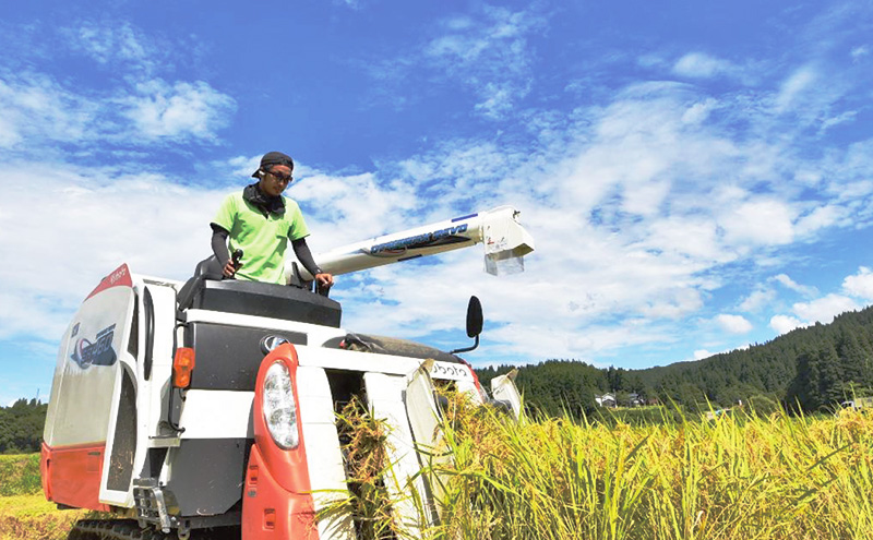 令和7年産 魚沼産コシヒカリ 雪ノ王 精米 5kg 米 お米 精米 こしひかり 魚沼 新潟