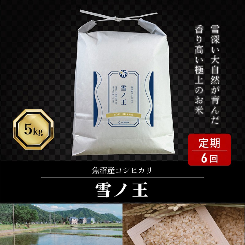 6か月定期便 魚沼産コシヒカリ 雪ノ王 精米5kg×6回 お米 精米 こしひかり 定期 魚沼 新潟