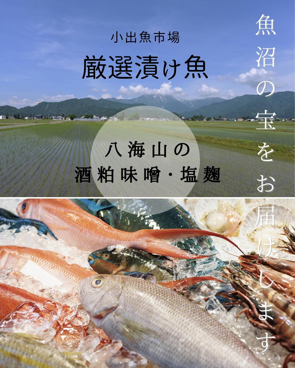 【銀だら】【鮭】八海山の塩麹・酒粕味噌漬け 6切入