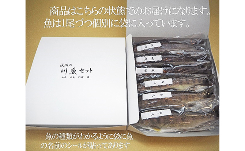 清流の川魚 セット 12尾入(ヤマメ・イワナ・ニジマス・アユ)魚12尾 ヤマメ イワナ ニジマス アユ 山女 岩魚 虹ます 虹鱒 鮎 マス ます 鱒