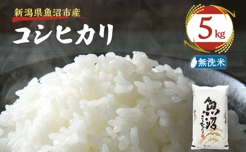 令和7年産【雪国逸品    無洗米5kg】越後魚沼郷    魚沼産コシヒカリ