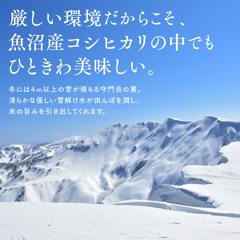 【令和8年産 新米先行受付】魚沼産コシヒカリ雪の恵（精米）5kg