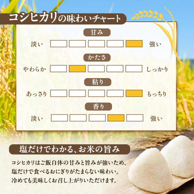 農産物検査員お奨め 魚沼産 こしひかり 精米 5kg 12ヶ月 連続お届け （ 米 定期便 コシヒカリ お米 定期 新潟 魚沼 魚沼産コシヒカリ 魚沼産こしひかり こめ コメ おこめ 白米 お楽しみ 12回 ） 新潟県 