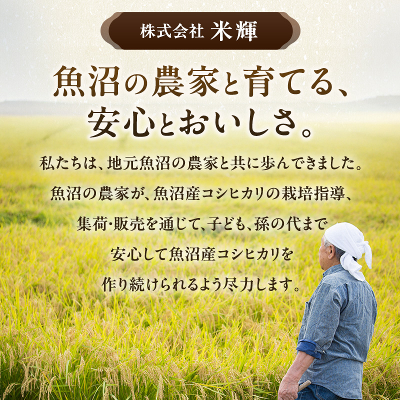 農産物検査員お奨め 魚沼産 こしひかり 精米 5kg 12ヶ月 連続お届け （ 米 定期便 コシヒカリ お米 定期 新潟 魚沼 魚沼産コシヒカリ 魚沼産こしひかり こめ コメ おこめ 白米 お楽しみ 12回 ） 新潟県 