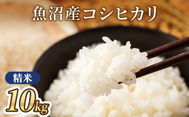 【令和7年産】魚沼産コシヒカリ(精米)10kg