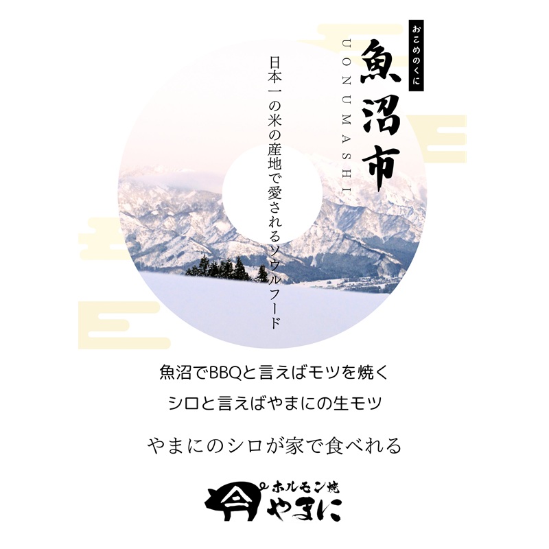 いちば屋発！やまにのモツ焼きセット 6人前 もつ焼き もつ モツ 豚 シロ セット BBQ バーベキュー 冷凍 やまに 新潟 魚沼市