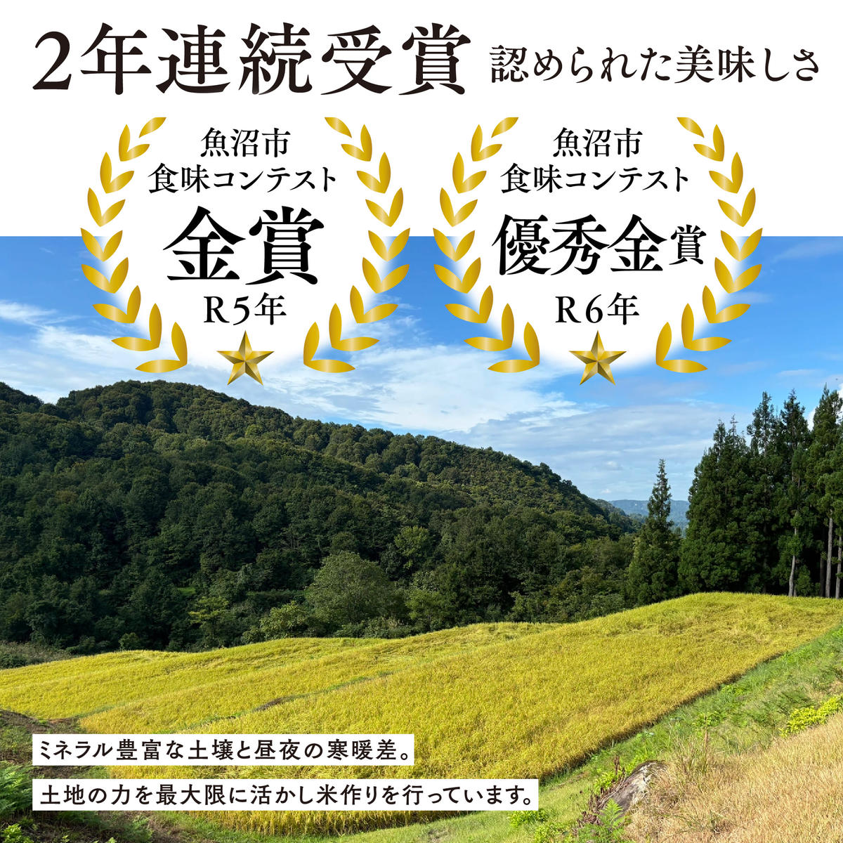令和7年産 魚沼産コシヒカリ雪の恵（精米）3kg 魚沼市 米 こめ コメ お取り寄せ