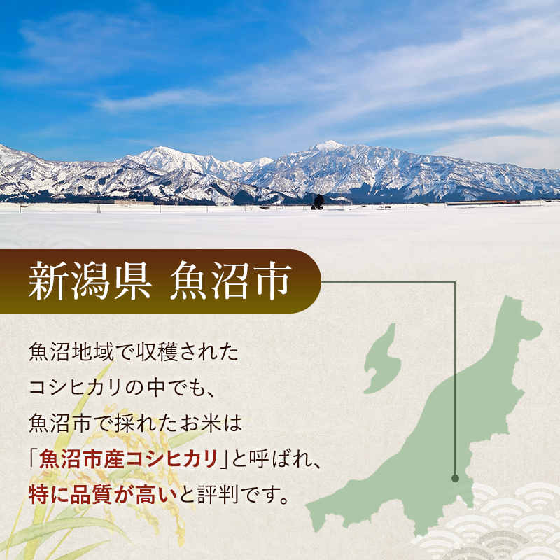雪室貯蔵 魚沼産 コシヒカリ 無洗米 2.5kg 12ケ月 連続お届け ( 米 定期便 お米 こめ コメ おこめ 白米 こしひかり 12回 30kg お楽しみ ) 新潟県 