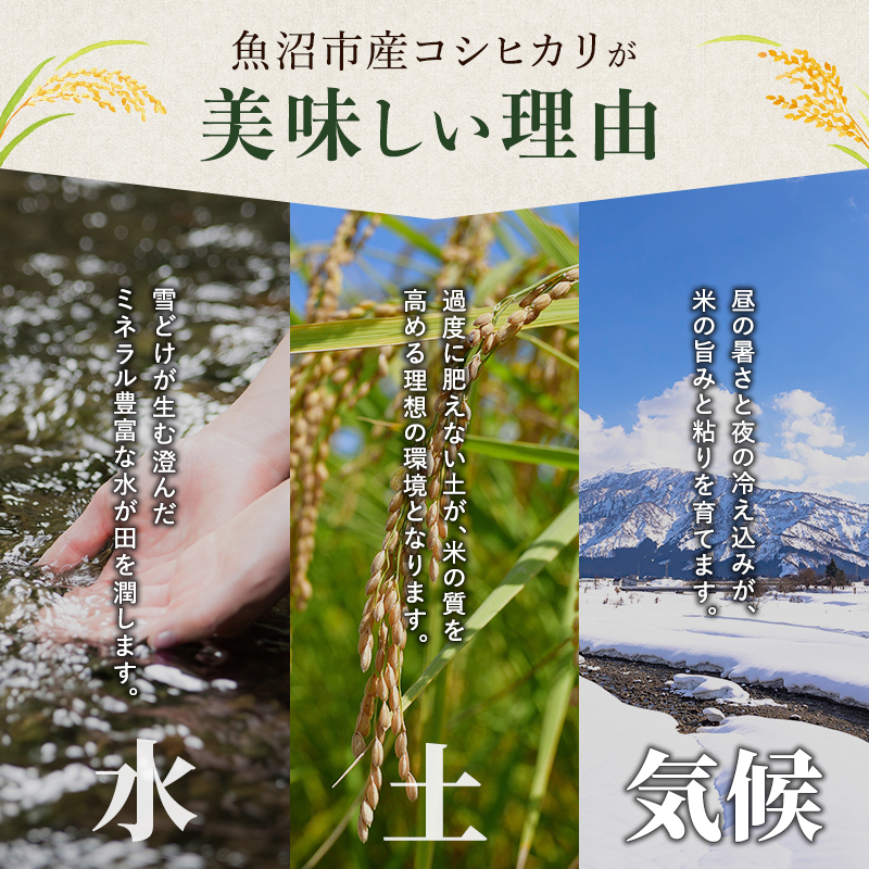 雪室貯蔵 魚沼産 コシヒカリ 無洗米 2.5kg 12ケ月 連続お届け ( 米 定期便 お米 こめ コメ おこめ 白米 こしひかり 12回 30kg お楽しみ ) 新潟県 