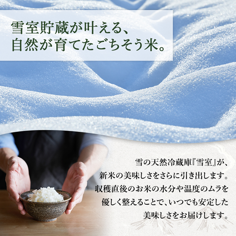 雪室貯蔵 魚沼産 コシヒカリ 無洗米 2.5kg 12ケ月 連続お届け ( 米 定期便 お米 こめ コメ おこめ 白米 こしひかり 12回 30kg お楽しみ ) 新潟県 