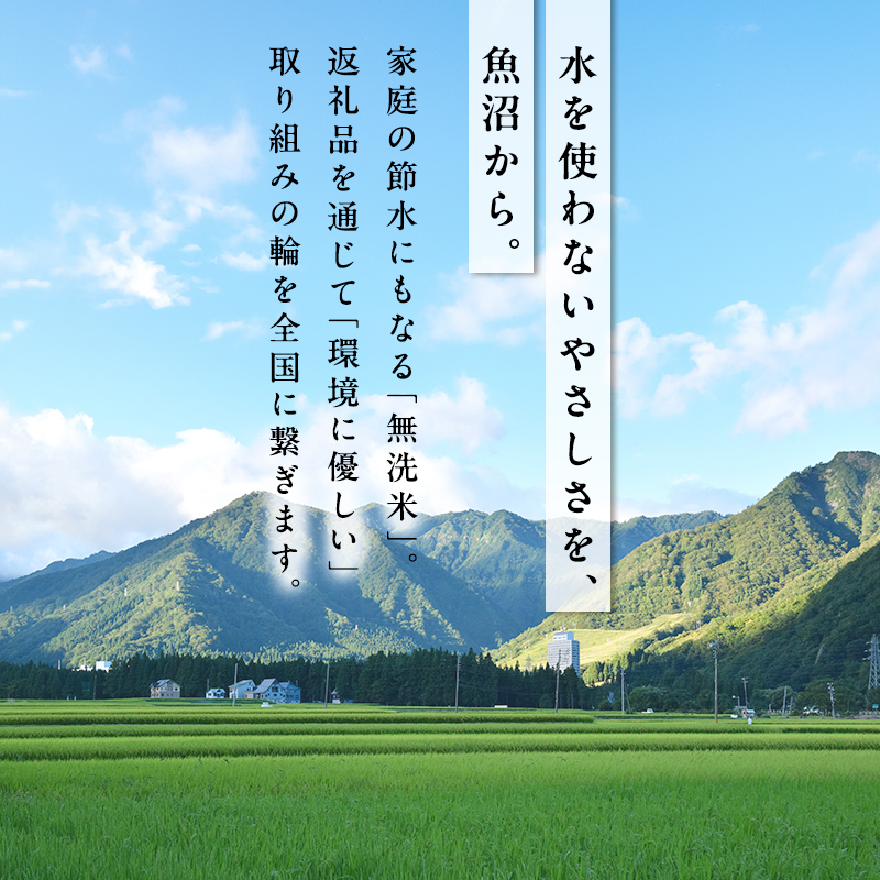 雪室貯蔵 魚沼産 コシヒカリ 無洗米 2.5kg 12ケ月 連続お届け ( 米 定期便 お米 こめ コメ おこめ 白米 こしひかり 12回 30kg お楽しみ ) 新潟県 