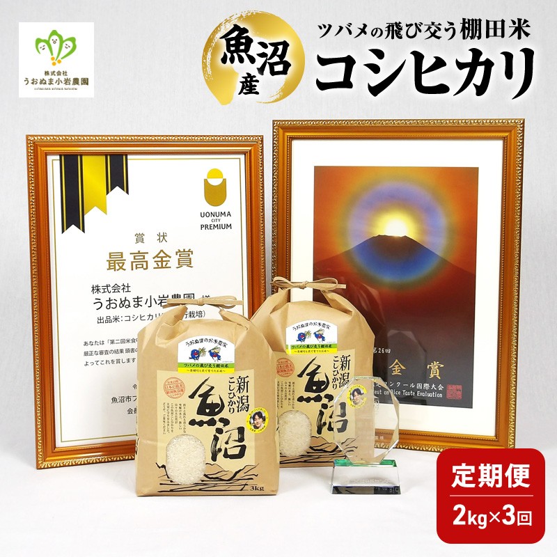 精米 ツバメの飛び交う棚田米 2kg×1袋 3ヵ月連続お届け　米 こめ お米 コメ こしひかり コシヒカリ 精米 新潟県 魚沼市 魚沼