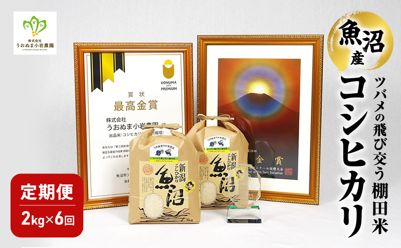 精米 ツバメの飛び交う棚田米 2kg×1袋 6ヵ月連続お届け　米 こめ お米 コメ こしひかり コシヒカリ 精米 新潟県 魚沼市 魚沼