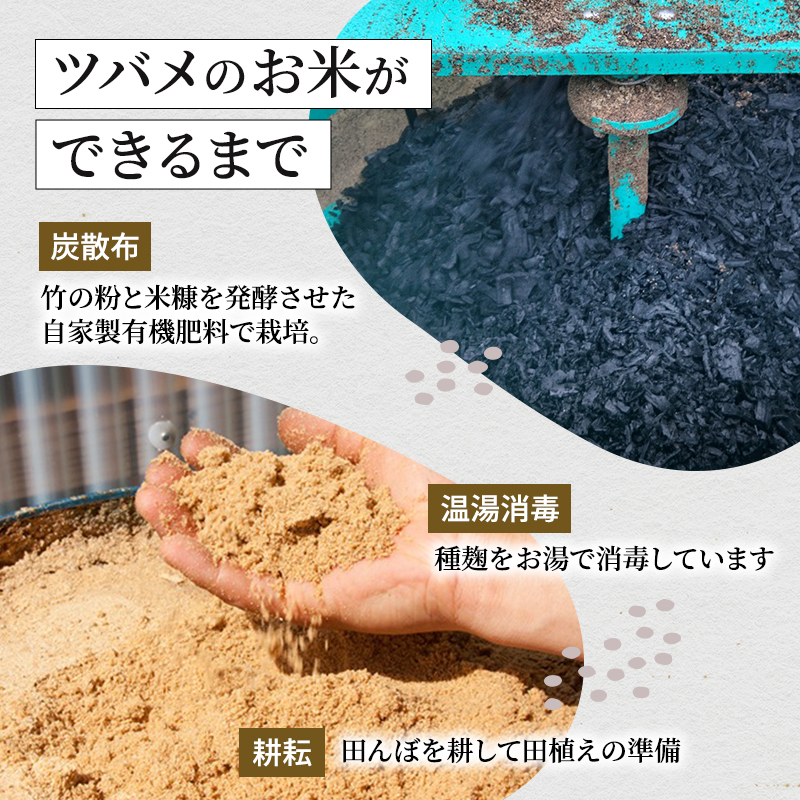 精米 ツバメの飛び交う棚田米 2kg×1袋 6ヵ月連続お届け　米 こめ お米 コメ こしひかり コシヒカリ 精米 新潟県 魚沼市 魚沼