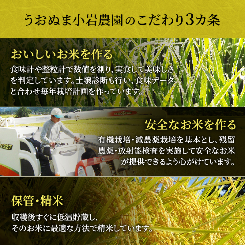 精米 ツバメの飛び交う棚田米 2kg×1袋 12ヵ月連続お届け　米 こめ お米 コメ こしひかり コシヒカリ 精米 新潟県 魚沼市 魚沼