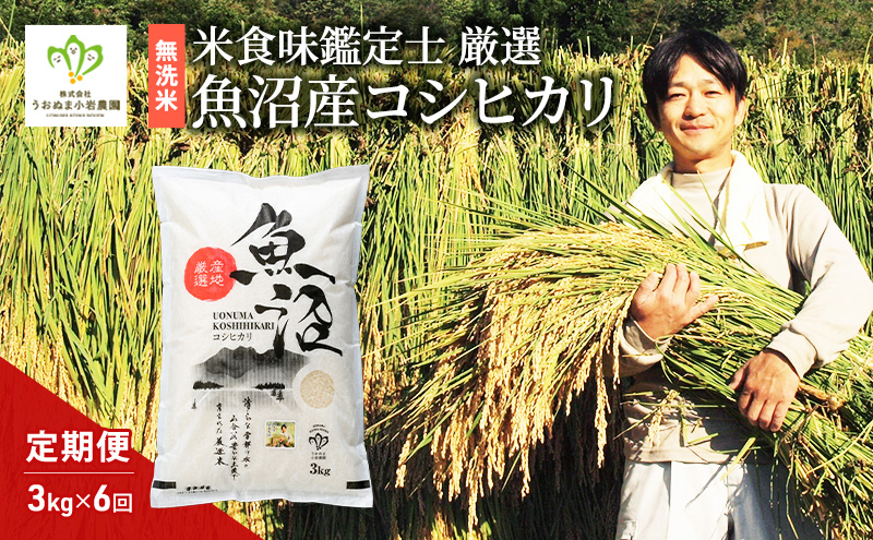 無洗米 「米食味鑑定士 厳選」魚沼産コシヒカリ 3kg 6ヵ月連続お届け　米 こめ お米 コメ こしひかり 新潟県 魚沼市 魚沼 ライス ご飯 主食 新潟県産 産地直送 時短