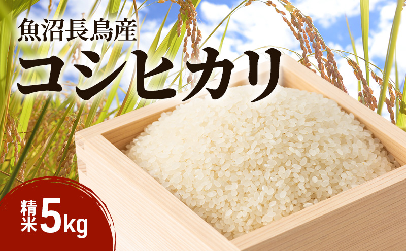 【雪解け水で育てた】魚沼すもん長鳥産こしひかり  （5kg） 1袋 米 コメ こしひかり 精米 ブランド米 お取り寄せ 魚沼市