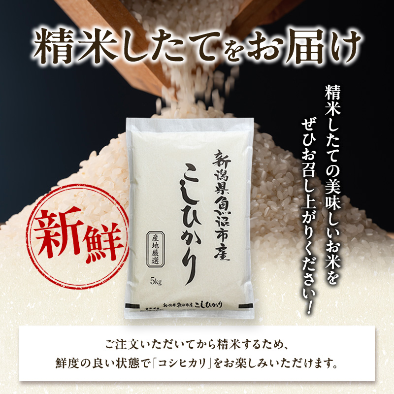 令和7年産 農産物検査員お奨め 魚沼産こしひかり（精米）10kg（5kg×2） お米 コシヒカリ