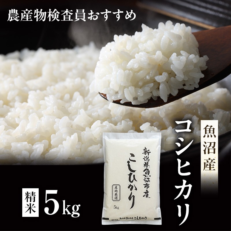 令和7年産 農産物検査員お奨め 魚沼産こしひかり（精米）5kg お米 コシヒカリ