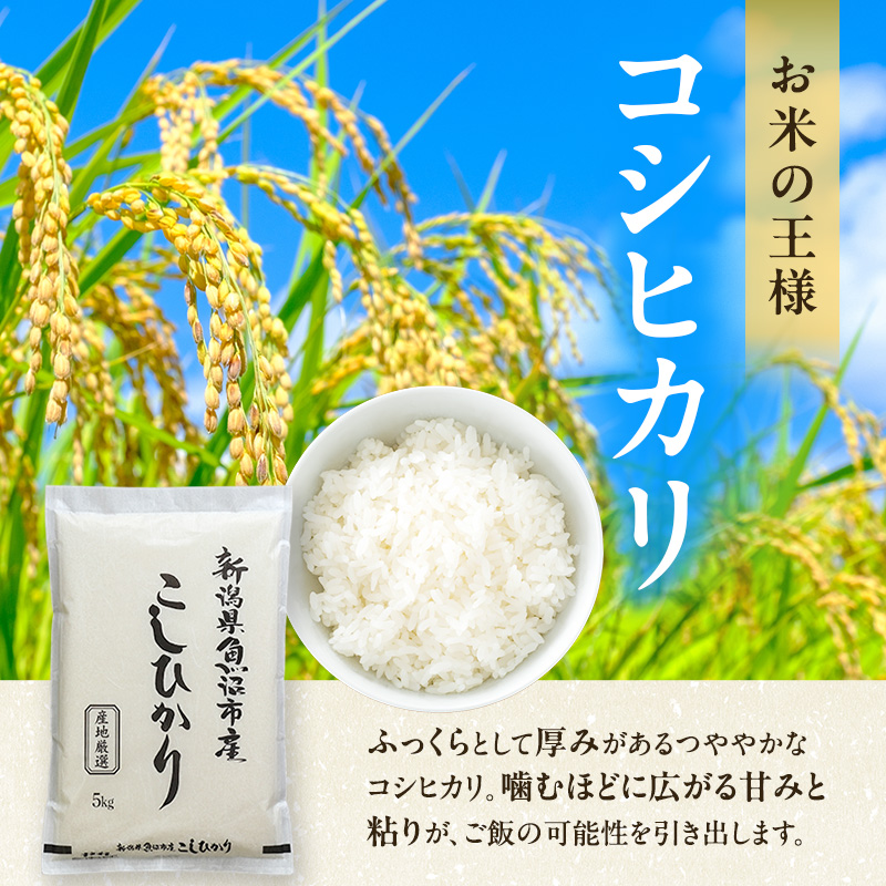 令和7年産 農産物検査員お奨め 魚沼産こしひかり（精米）5kg お米 コシヒカリ