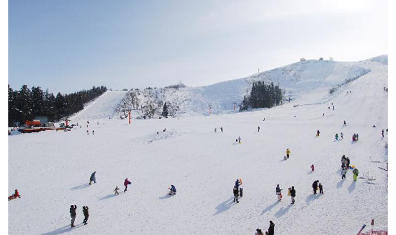 小出・須原・薬師共通シーズン券　新潟県 スキー場  雪遊び スキー シーズンチケット