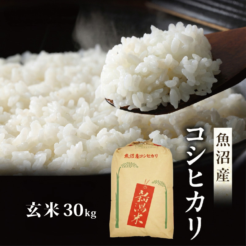令和7年産 真砂屋厳選 魚沼産コシヒカリ（玄米）30kg お米 コメ こしひかり 新潟県 魚沼市 魚沼