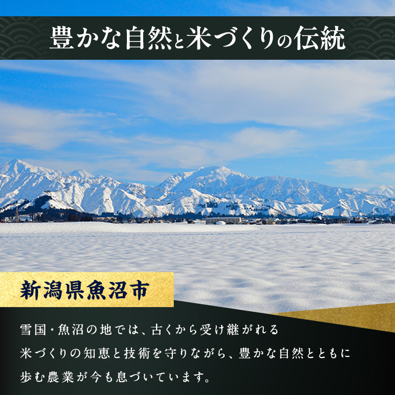 令和7年産 魚沼産コシヒカリ 精米 6kg（3kg×2袋） お米 新潟県産 