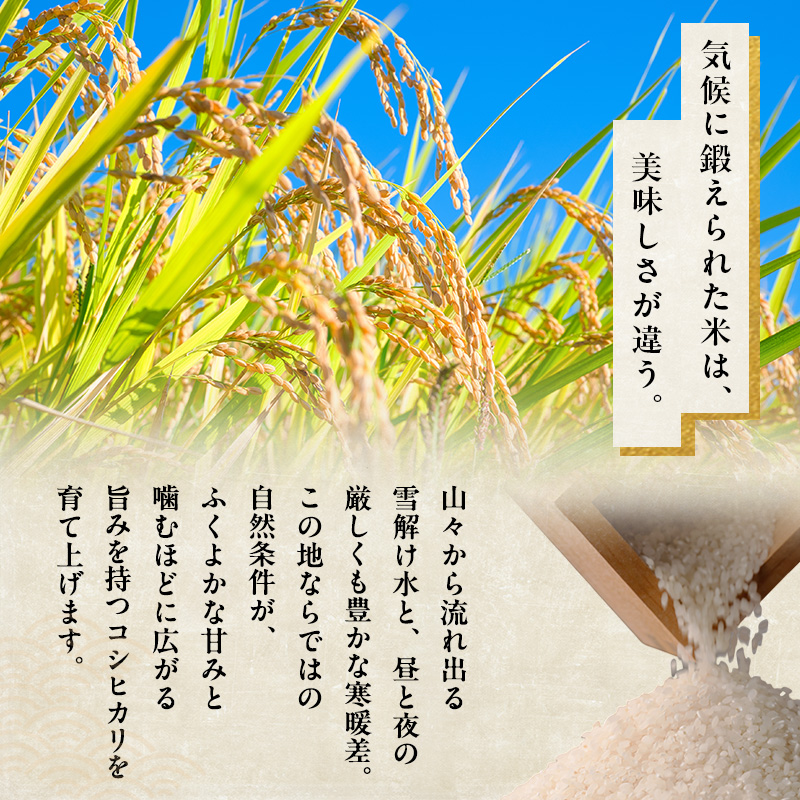 令和7年産 魚沼産コシヒカリ 精米 6kg（3kg×2袋） お米 新潟県産 