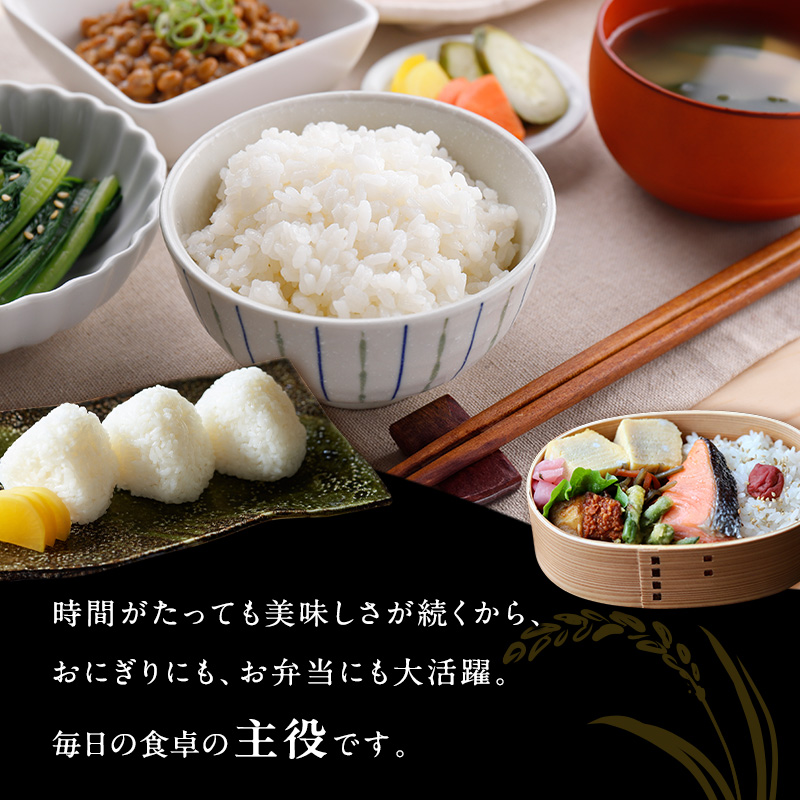 令和7年産 魚沼産コシヒカリ 精米 6kg（3kg×2袋） お米 新潟県産 