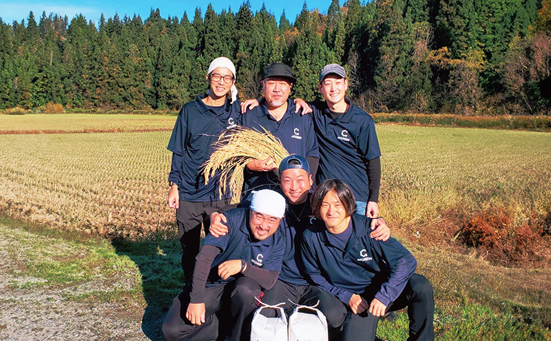 6か月定期便 魚沼産コシヒカリ 雪ノ王 精米5kg×6回 お米 精米 こしひかり 定期 魚沼 新潟
