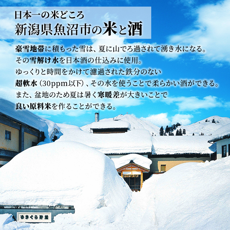 ãIWC2024 ãŽãŒã«ãã¡ãã«&ãããã£ãŒåè³é
ãéæ²Œ çé¢šå³ 720ml 2æ¬ ã»ãã