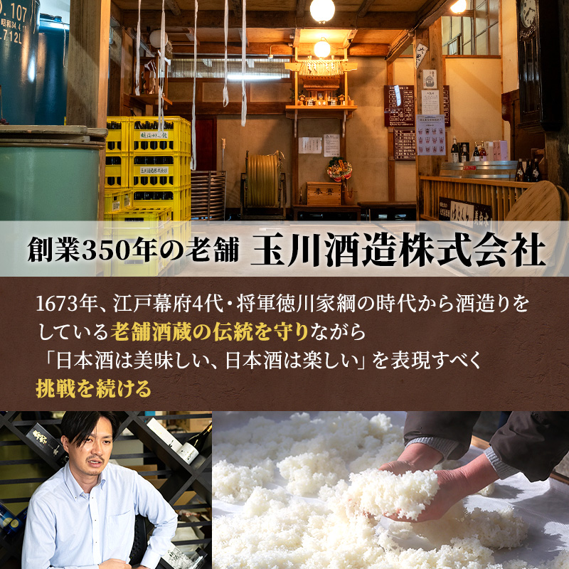 日本酒 セット 金賞 プラチナ賞 計7冠受賞 純米大吟醸 目黒五郎助 純米吟醸 越乃雪蔵 1.8L 2本 セット 日本酒 清酒 地酒 新潟 魚沼市