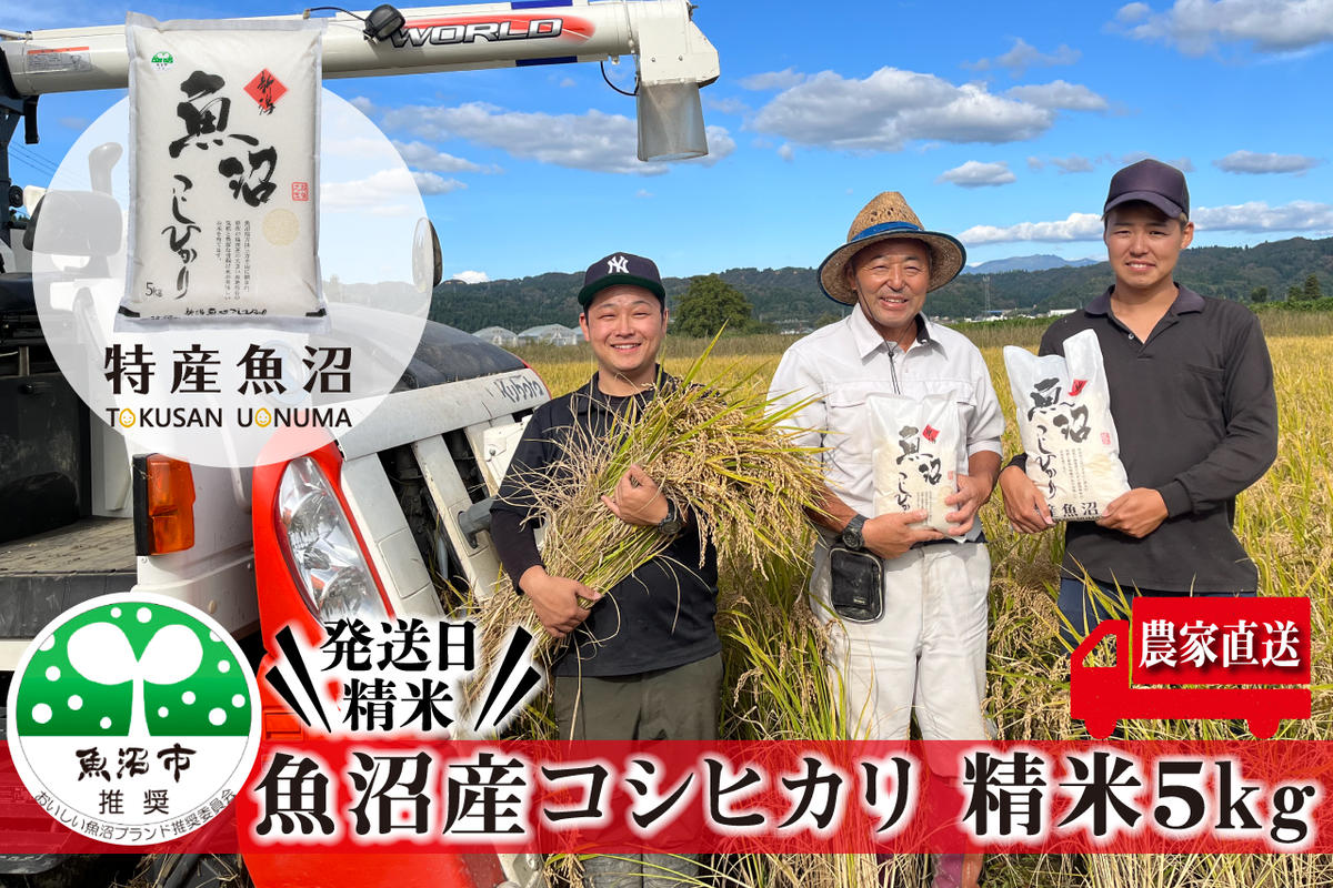 令和5年産 農家直送！ 魚沼産 コシヒカリ 精米 5kg （ 米 こしひかり お米 こめ コメ 魚沼産コシヒカリ 魚沼 新潟 魚沼産こしひかり おこめ 白米 ）