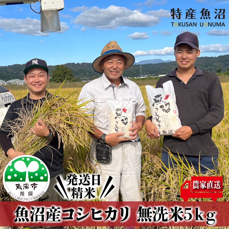 令和7年産 農家直送！ 魚沼産 コシヒカリ 無洗米 5kg （ 米 こしひかり お米 こめ コメ 魚沼産コシヒカリ 魚沼 新潟 魚沼産こしひかり おこめ 白米 精米 ）