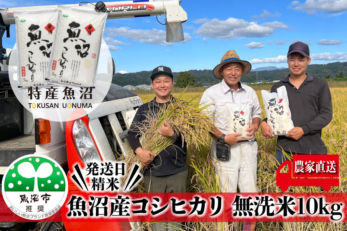 令和6年産 農家直送！ 魚沼産 コシヒカリ 無洗米 10kg ( 5kg × 2個 )（ 米 魚沼産コシヒカリ こしひかり お米 こめ コメ 魚沼産コシヒカリ 魚沼 新潟 おこめ 白米 ）