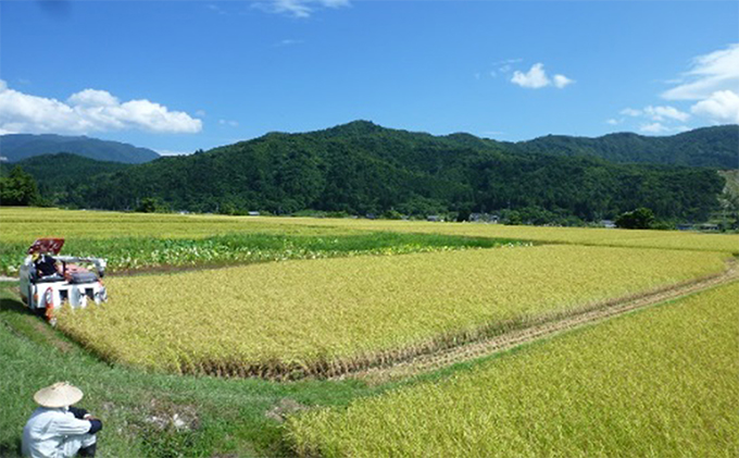縺ゥ縺カ繧阪¥縲後″蜈ォシ医″縺ッ縺。シ峨搾シ縺ォ縺斐j驟偵御ク蟄」縲咲エ逋ス繧サ繝繝茨シ亥推720mlシ 縺企 譌・譛ャ驟