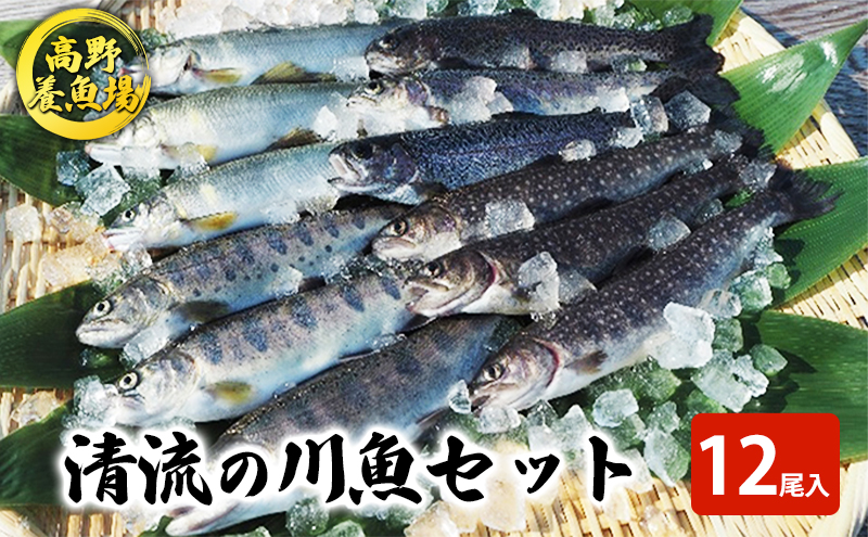 貂豬√ョ蟾晞ュ 繧サ繝繝 12蟆セ蜈・(繝、繝槭Γ繝サ繧、繝ッ繝翫サ繝九ず繝槭せ繝サ繧「繝ヲ)鬲12蟆セ 繝、繝槭Γ 繧、繝ッ繝 繝九ず繝槭せ 繧「繝ヲ 螻ア螂ウ 蟯ゥ鬲 陌ケ縺セ縺 陌ケ魍 魄 繝槭せ 縺セ縺 魍