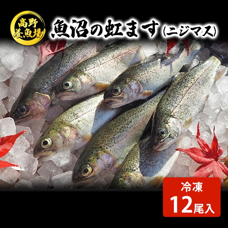 魚沼の虹ます （ニジマス） 冷凍12尾入 （ 虹ます にじます ニジマス 虹鱒 マス ます 鱒 魚 川魚 小分け 海鮮 魚介 魚介類 魚沼 ） 魚貝類