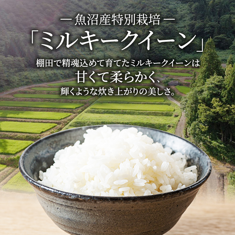 魚沼産 特別栽培 ミルキークイーン 5kg 袋 5ヶ月 連続お届け （ 米 定期便 お米 特別栽培米 魚沼 新潟 こめ コメ おこめ 白米 精米 お楽しみ 5回 ）