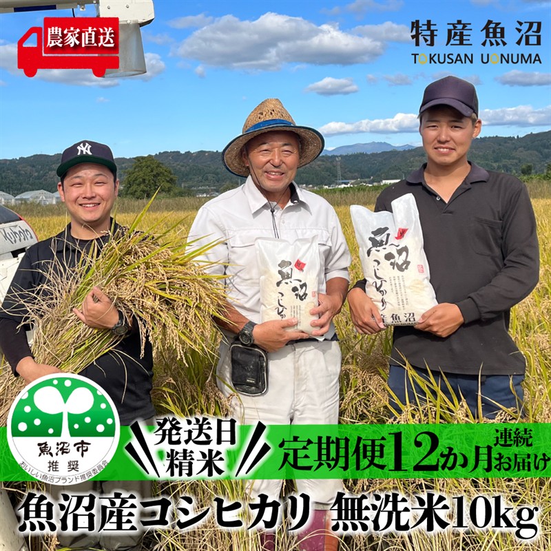 無洗米 定期便 12ヶ月 コシヒカリ 5kg 米 白米 お米 魚沼産コシヒカリ 新潟米 新潟 魚沼市 定期 12回