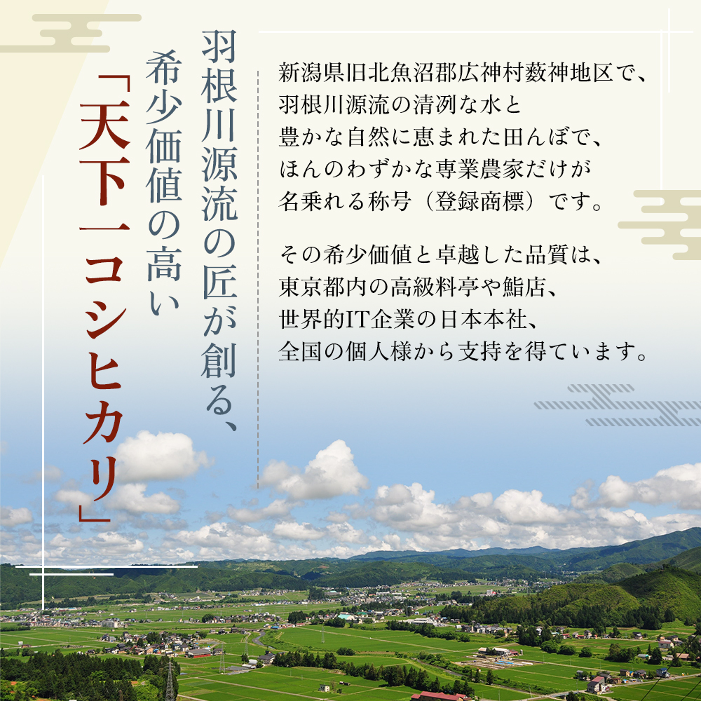 定期便 魚沼産 天下一コシヒカリ 5kg 全 6回 （ 米 コシヒカリ こしひかり 定期 お米 こめ コメ おこめ 白米 魚沼 新潟 魚沼産コシヒカリ 魚沼産こしひかり お楽しみ ） 新潟県 