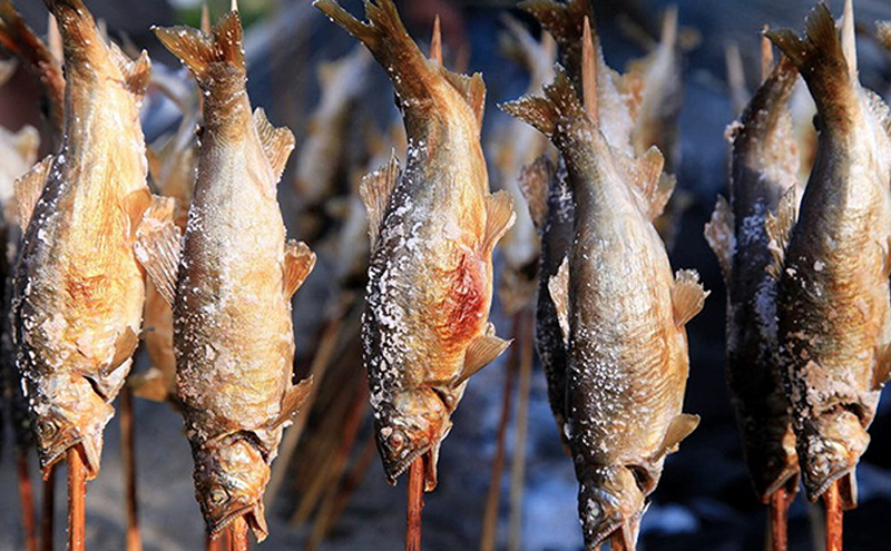 遊漁年券A1あゆ　竿釣（友釣りのみ）（但し魚沼漁業協同組合の範囲内に限ります）